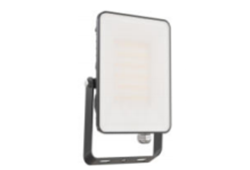Avide LED Flood Light SMD Frameless 10W NW 4000K Built-in PIR